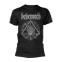 Behemoth Furor Divinus