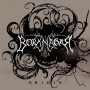 Borknagar Origin 