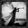 Untervoid Untervoid 