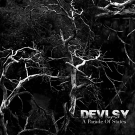 Devlsy "A Parade of States" CD