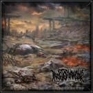 Indeterminable "Symbols That Disappeared" CD