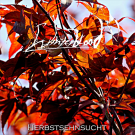 Winterblood "Herbstsehnsucht" CD