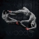 WhisperingWoods