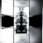 Thee Maldoror Kollective