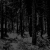 Moloch "Abstrakter Wald" CD